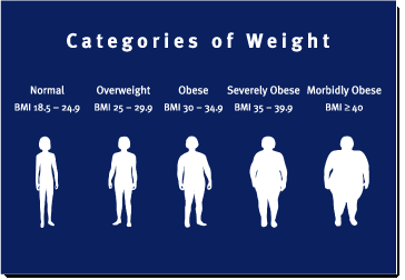 BMI Weight Categories